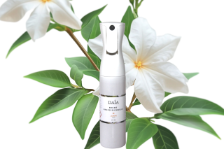 Daia Brume professionnelle Jasmin